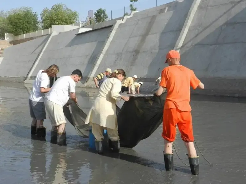rescuing-water-animals-from-the-drying-out-talab-in-jadan-ashram bodyImage